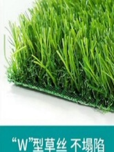 �FƤ�������|����|�o�����{��C��ˮ�o����픲���߷��꽵��