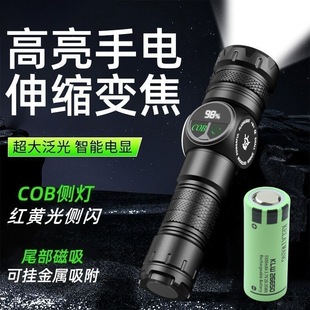 �羳���⏊�����Ͳ30W�׼���COB�ȟ􎧔��@����s�{���������