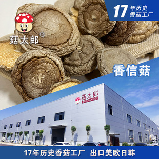�㹽��؛���Ź��ɶ���׵�׸��㹽���ښW�˳��ڻ��؂䰸