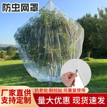 跨境农用防虫网罩果园果树防鸟网植物果树庭院防虫网袋拦鸟网批发