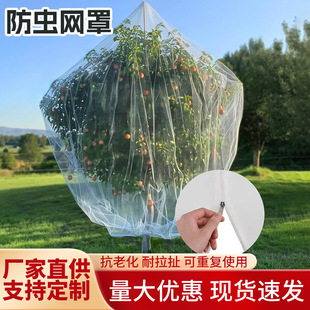 �羳�r�÷��x�W�ֹ��@������B�Wֲ�����ͥԺ���x�W���r�B�W���l