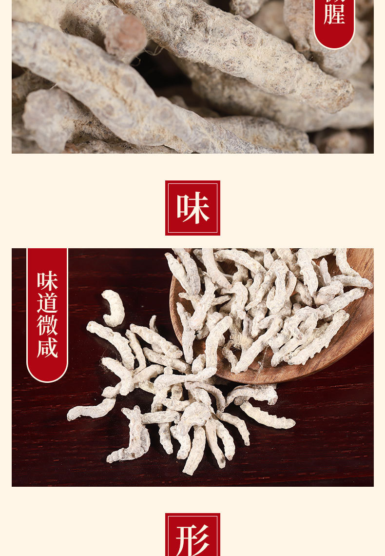 Jiang Can Powder (Bombyx batryticatus) — Dried Silkworm Powder, Sichuan Origin, Unsulfured key features