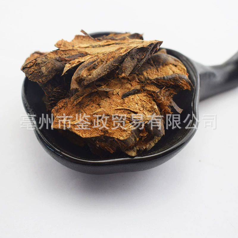 Guan Zhong Dried Cyrtomium Rhizome 500g Bulk TCM Herbal Material quality and texture