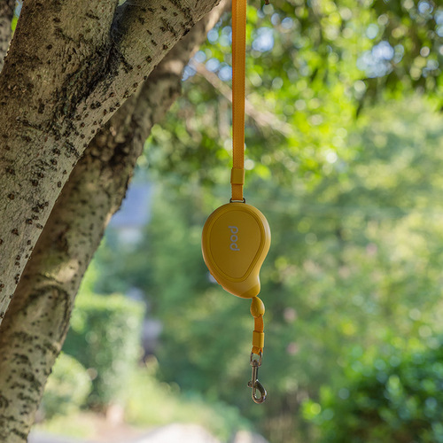 Simple and Portable Mango Retractable Dog Leash, Small Dog Specific, Suitable for Teddy and Schnauzer