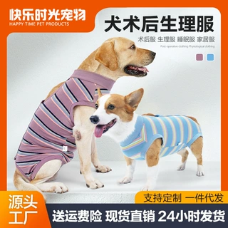 狗狗生理服含网兜可放尿垫魔术贴穿脱母狗衣服绝育服两脚衣