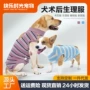 两脚生理母狗尿垫魔术贴