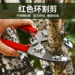 廠家紅色環割剪雙刃環剝剪雙層環剝剪果樹環割剪環割刀環剝剪批發