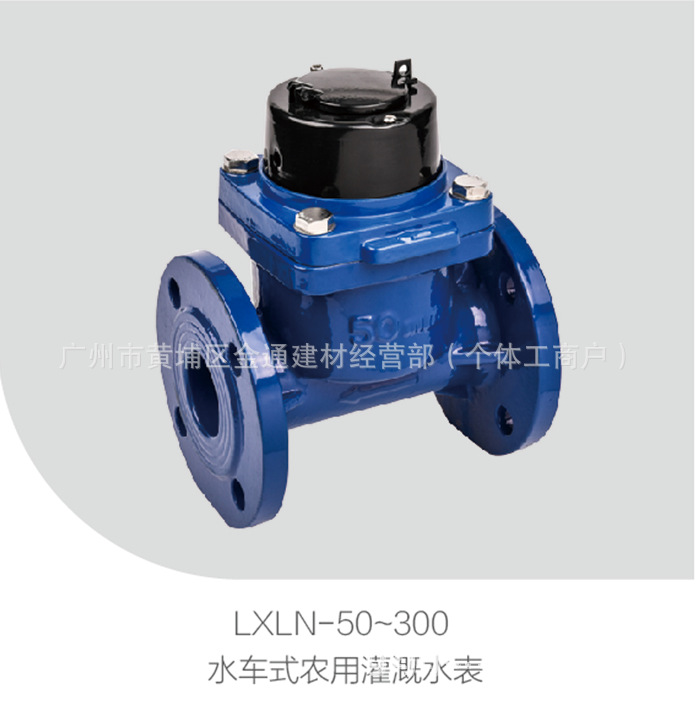 宁波水表可拆卸式农用灌溉水表农用水大口径水表LXLN-50-300