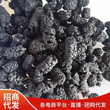 批发散装新货桑葚干 厂家直供免洗无沙即食桑葚果 花果茶黑桑葚子