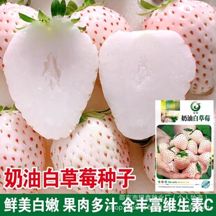 ���Ͳ�ݮ�N�Ӳ�ݮ�N�Ѽt�׷N��ˮ���߲˴�ȫ���l���Ͱײ�ݮ