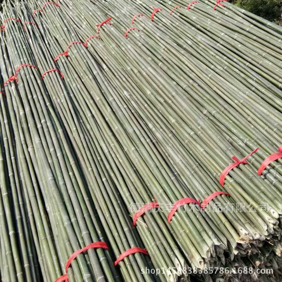 Происхождение различных спецификаций фруктов и овощей бамбука