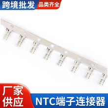 0.2mm传感器接线端子黄铜镀锡感温5X0.5导线架支架NTC连接器接头
