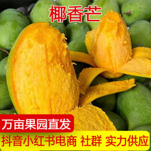 �a��ֱ�l�Ĵ���֦��Ҭ��â���r�����֭�Ꭷˮ���u��â��һ�����l