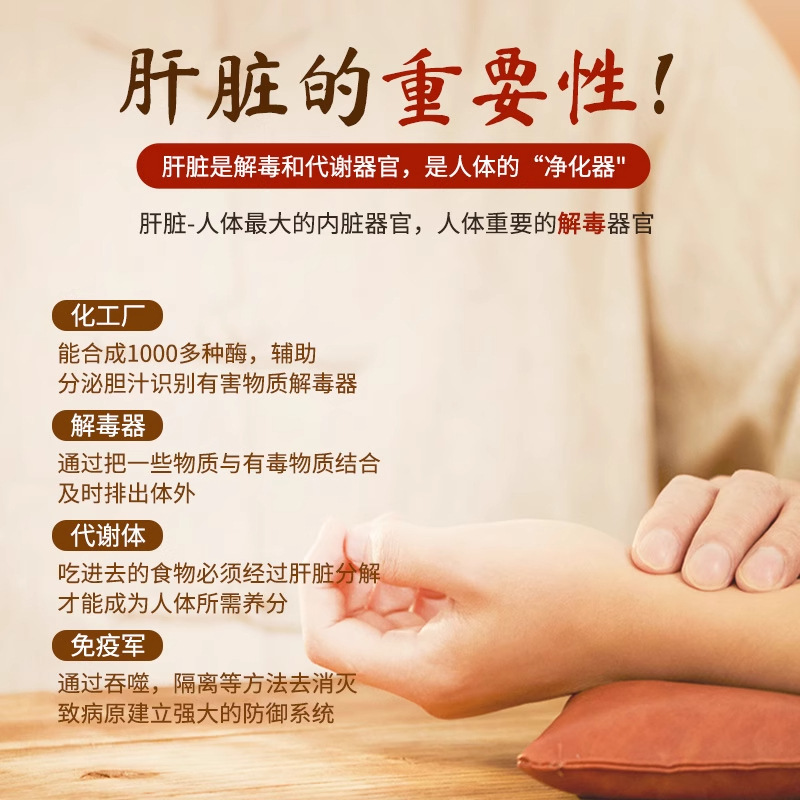 【官方正品】扁神医修合牌葛根黄芪片支持一件代发稳定货源现货速|undefined