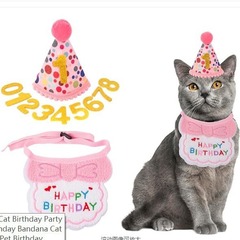 アマゾン越境ペット猫犬誕生日おめでとうございます。