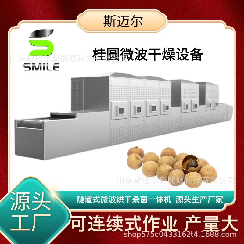 自动谷物杂粮微波熟化烘干设备 连续式桂圆微波干燥烘干设备