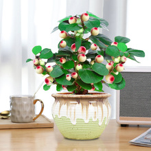 �������������҃ȾGֲ��ʽ�U���Ϙ����Ꭷ�������k���������Ԙ�