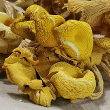 雞油菌干貨500g雲南特產蘑菇煲湯料黃絲菌黃金菇榆黃菇香菌菇批發