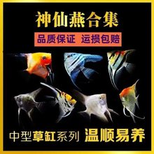 �������~�����~���~�����Ꭷ�^�p�~С���~��ī���߲������~�߲��~