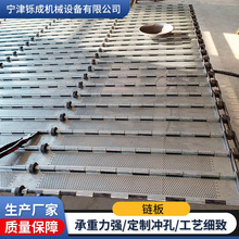 不锈钢冲孔链板传输带耐高温药材茶叶烘干链板大节距重型输送链板