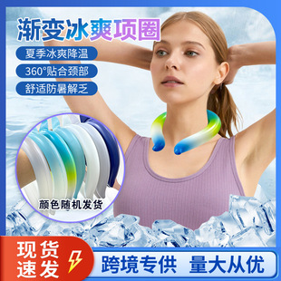 In-Stock Clearance Gradient Random Delivery Ice Collar m Size Universal Cooling Ice Ring Neck Hanging Cooling Ring