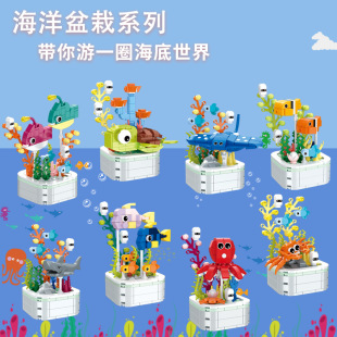 ��R��ͯ�����з�������Էeľ����������С�w��ƴ�b��߶Y��103G