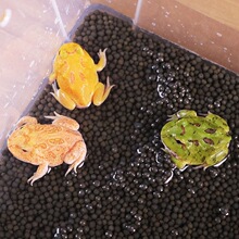 ���ܻ��w������ܾG�ܽ�������ܼZ������ܻ�����B�����b