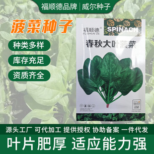 �r�Ҵ��~���˷N���������ﶬ���ͺ��͟��ļ����Լt���������߲˷N