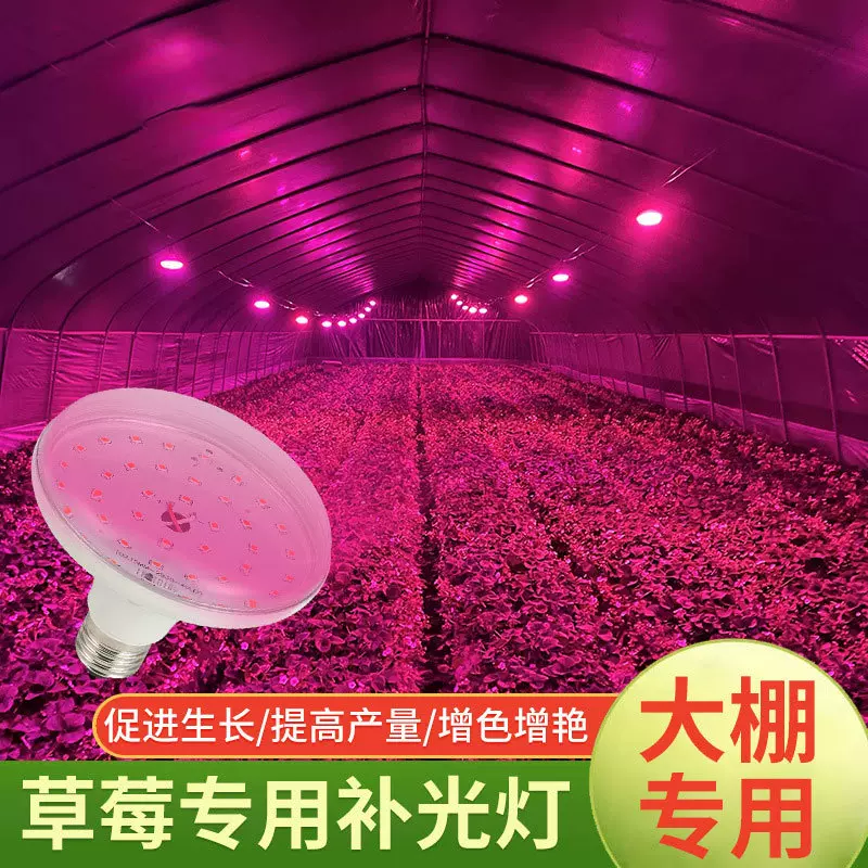 全光谱仿太阳光植物补光灯菊花草莓百香火龙果飞碟植物生长燈批发