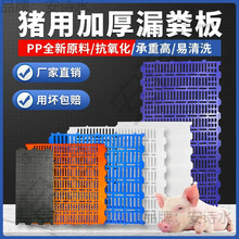 加厚养猪漏粪板猪用塑料母猪产床漏粪板狗小仔猪保育床羊床漏粪板