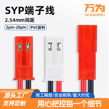 fSYP2pinĸ往LEDJSTŰ늾ӾB