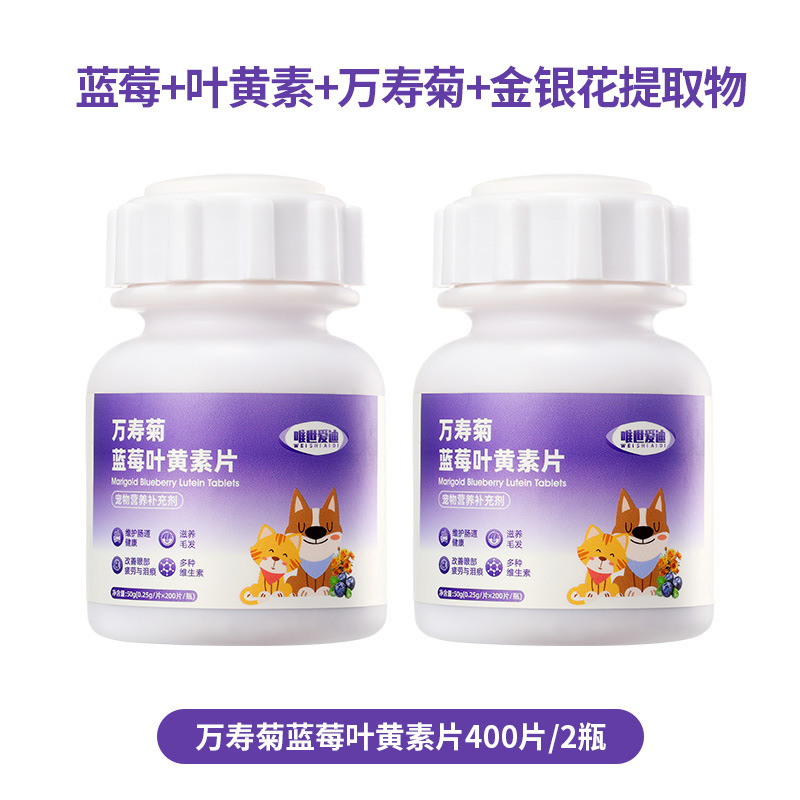 블루베리 루테인 정제 2병