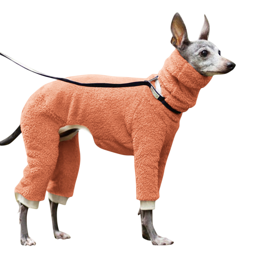 Greyhounds Whippet Coat