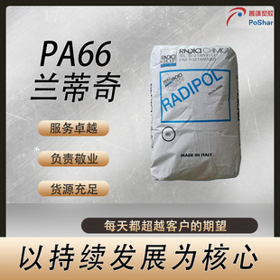 Radilon PA66 A RV200K/A RV250KB/A45/A GF030K�m����PA66�F؛