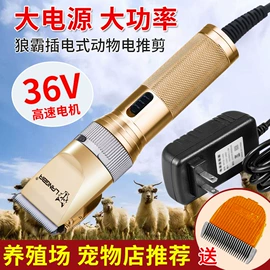 狗狗清洁;宠物电推剪;理发器