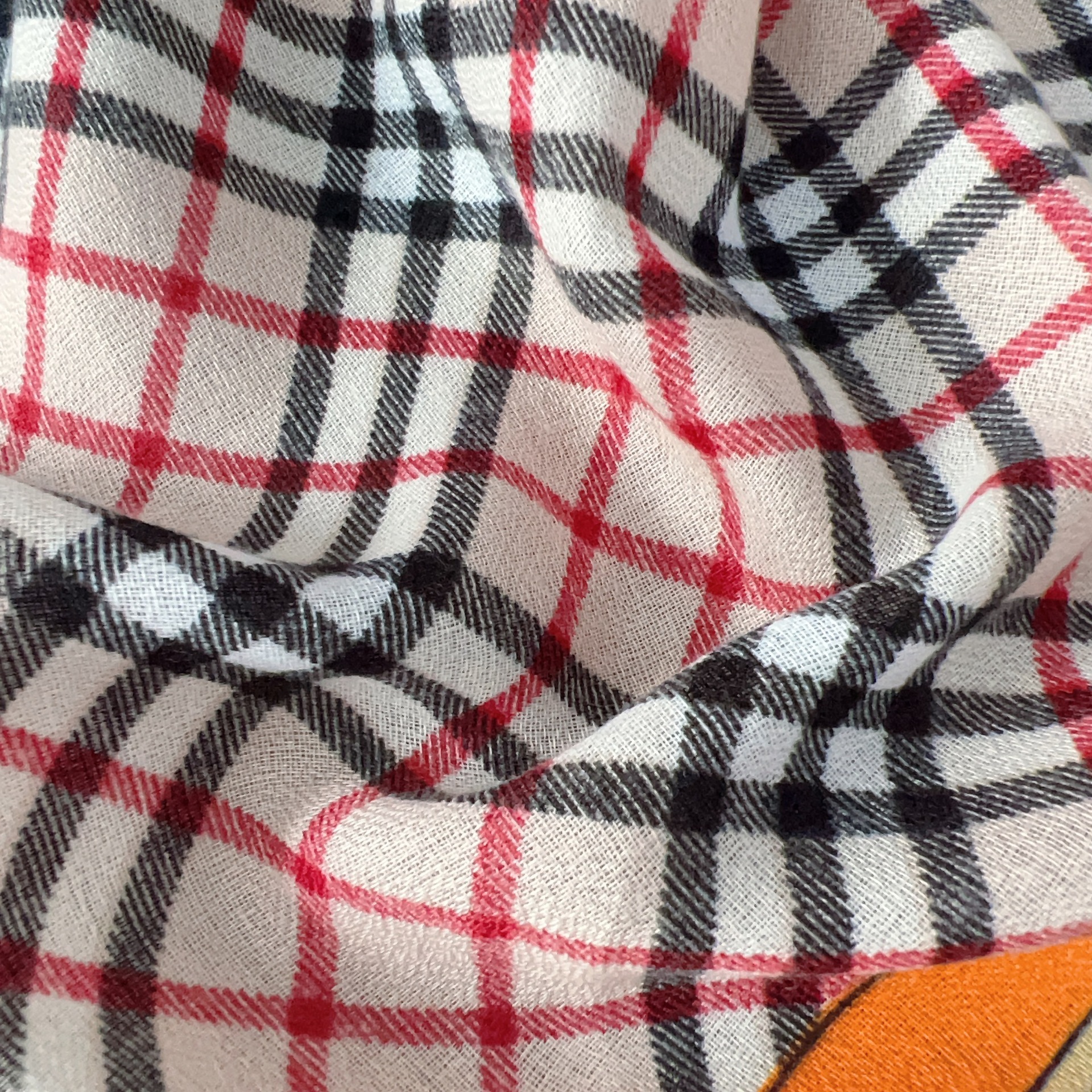 IMG_3535(20230828-104041)