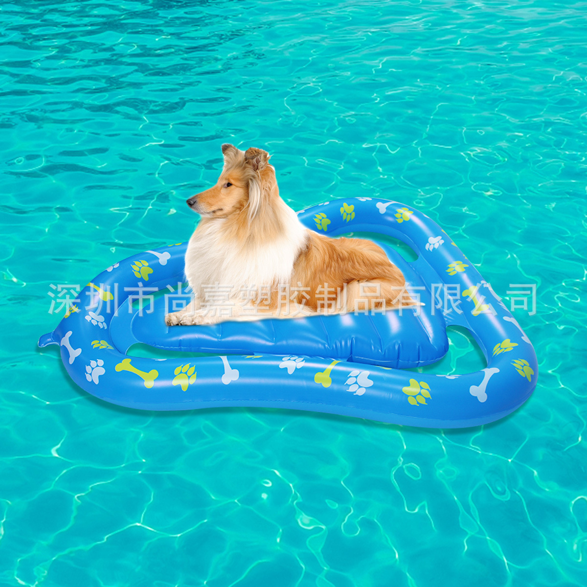 cw19.jpg