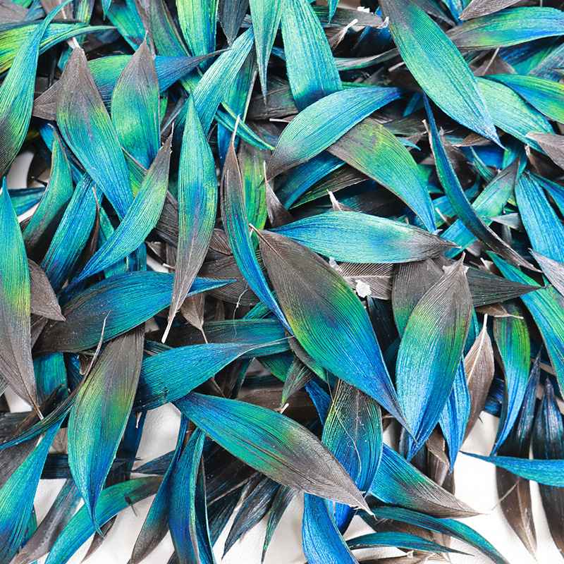 Fábrica al por mayor de bricolaje plumas pequeñas plumas naturales plumas de pollo salvaje plumas de pato jardín de infantes joyas hechas a mano gato divertido material de captura de sueños