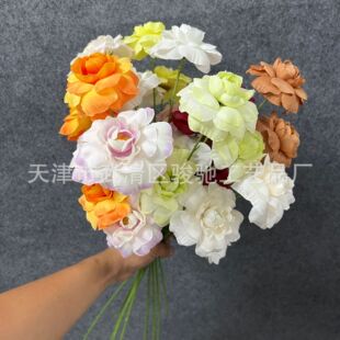 ���滨3�^���wõ�廨 ���õ��Y�Ҿӻ�Y�ý������ٻ��S�����l