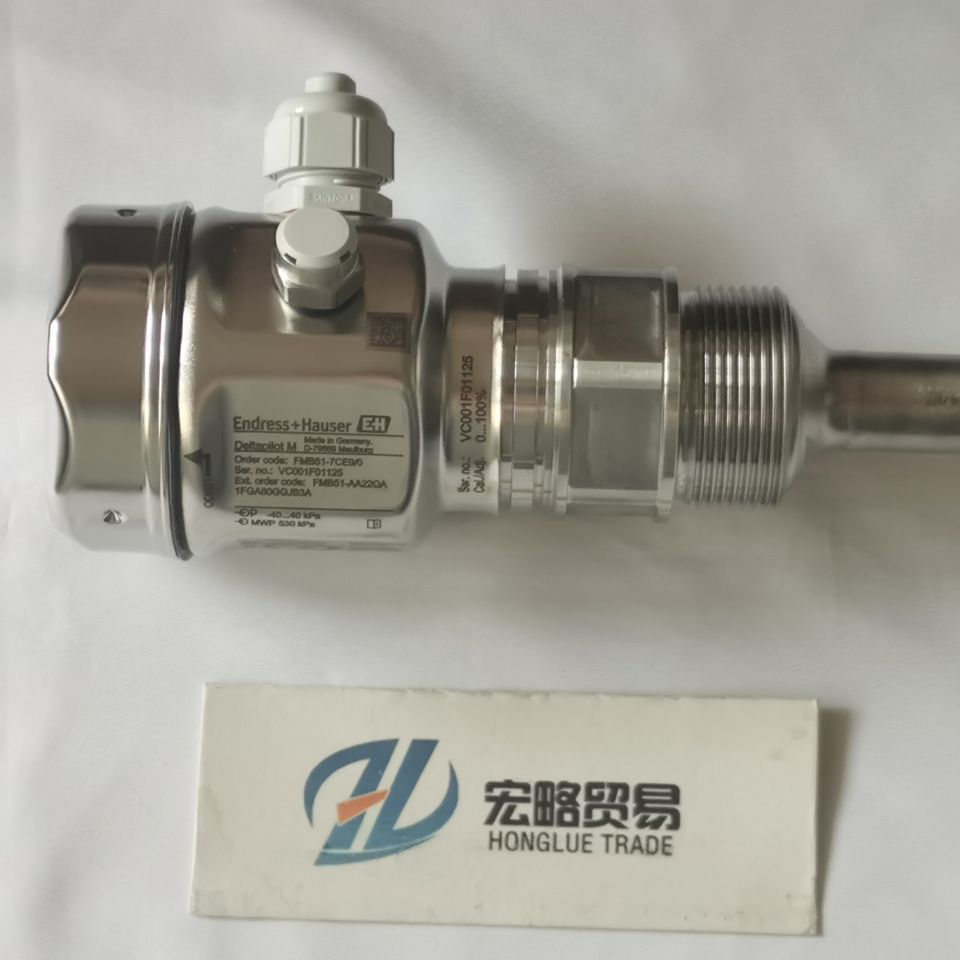 E+H带固定式过程连接静压式液位计FMB51