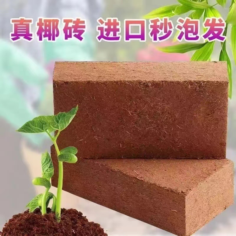 泡发9斤印度脱盐大椰砖椰土椰粉砖种菜无菌营养土绿萝土椰糠包邮|undefined