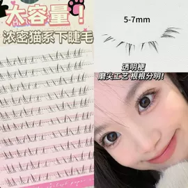 唇釉;腮红、胭脂;眼影