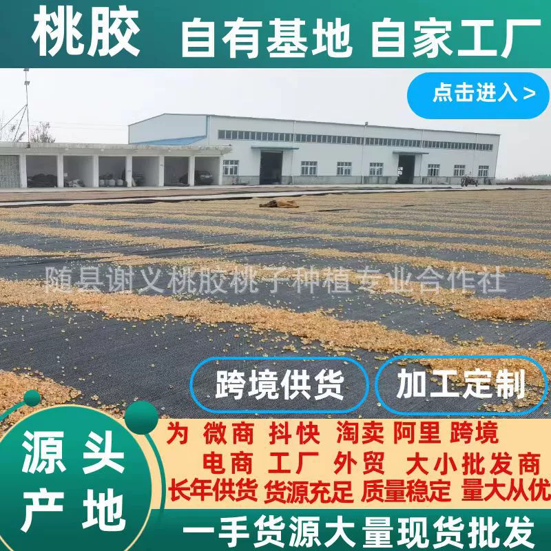 Машина для полировки персиковой смолы, круглые бусины, промытые водой, персиковая смола, снежная ласточка, мыльные орехи, напрямую от производителя, оптовые поставки от первого производителя.