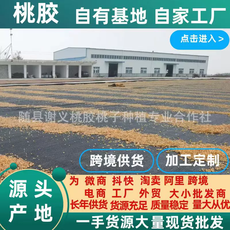 桃胶精修机磨水洗圆珠桃胶雪燕皂角米产地源头厂家一手大货源批发