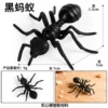 KZ1042 Black Ant