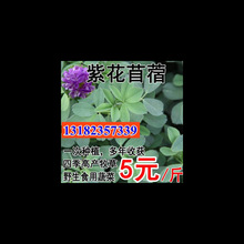 ϻޣݷNӶļݷNޣ˷NuZţ~ݷN