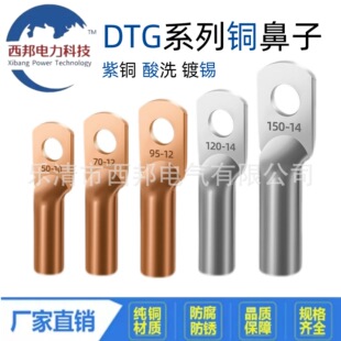 DTG150��DTG300ϵ�й܉����Ӈ������~��|���^�~�ܱǽӾ������~��