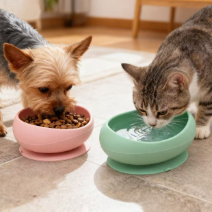 Cross-Border Pet Anti-Slip Silicone Bowl, Extra Large Suction Cup Arc Bowl, Not Easy to Overflow, Food-Grade Pet Eating Bowl