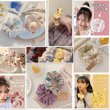 jkicȦ͹ŴclȦWlKʽ^Kinsn溆sƤl