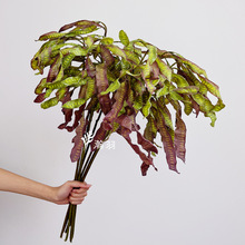 ��Ʒ�����y�Ϛg ����Gֲ�ڒ��b��T�ꙻ���҃��쾰�[���L��ֲ��